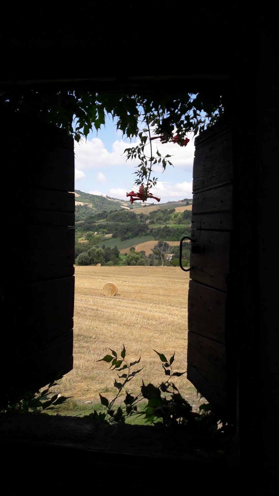 Le Bumbarelle Bed & Breakfast Tavoleto Exterior photo