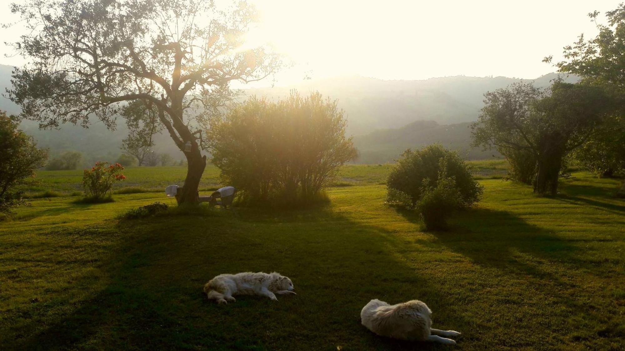 Le Bumbarelle Bed & Breakfast Tavoleto Exterior photo