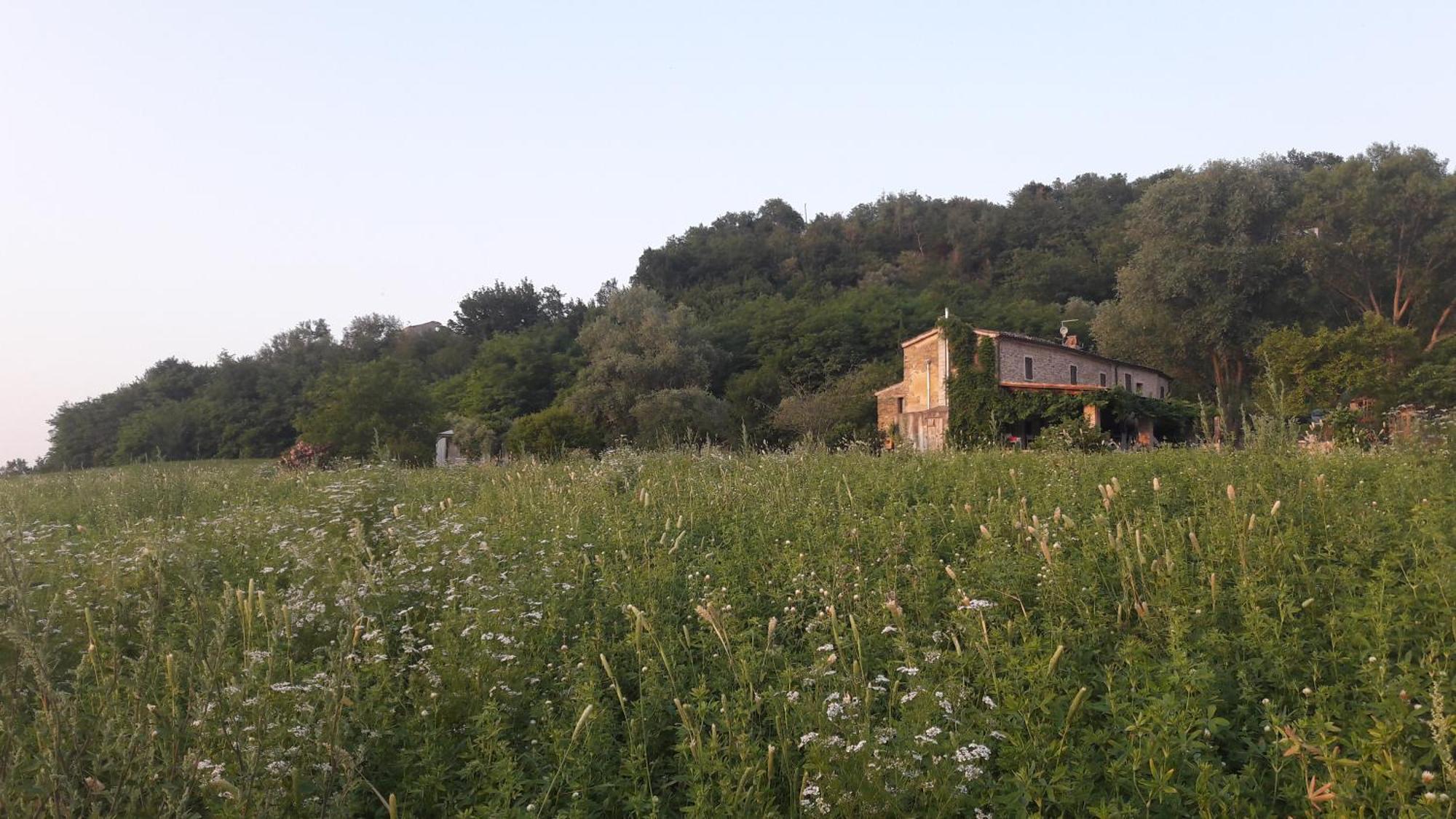Le Bumbarelle Bed & Breakfast Tavoleto Exterior photo