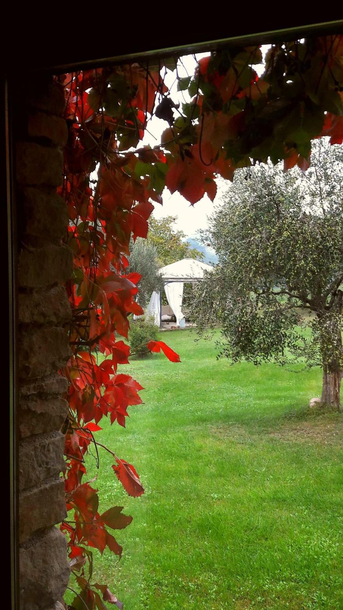 Le Bumbarelle Bed & Breakfast Tavoleto Exterior photo