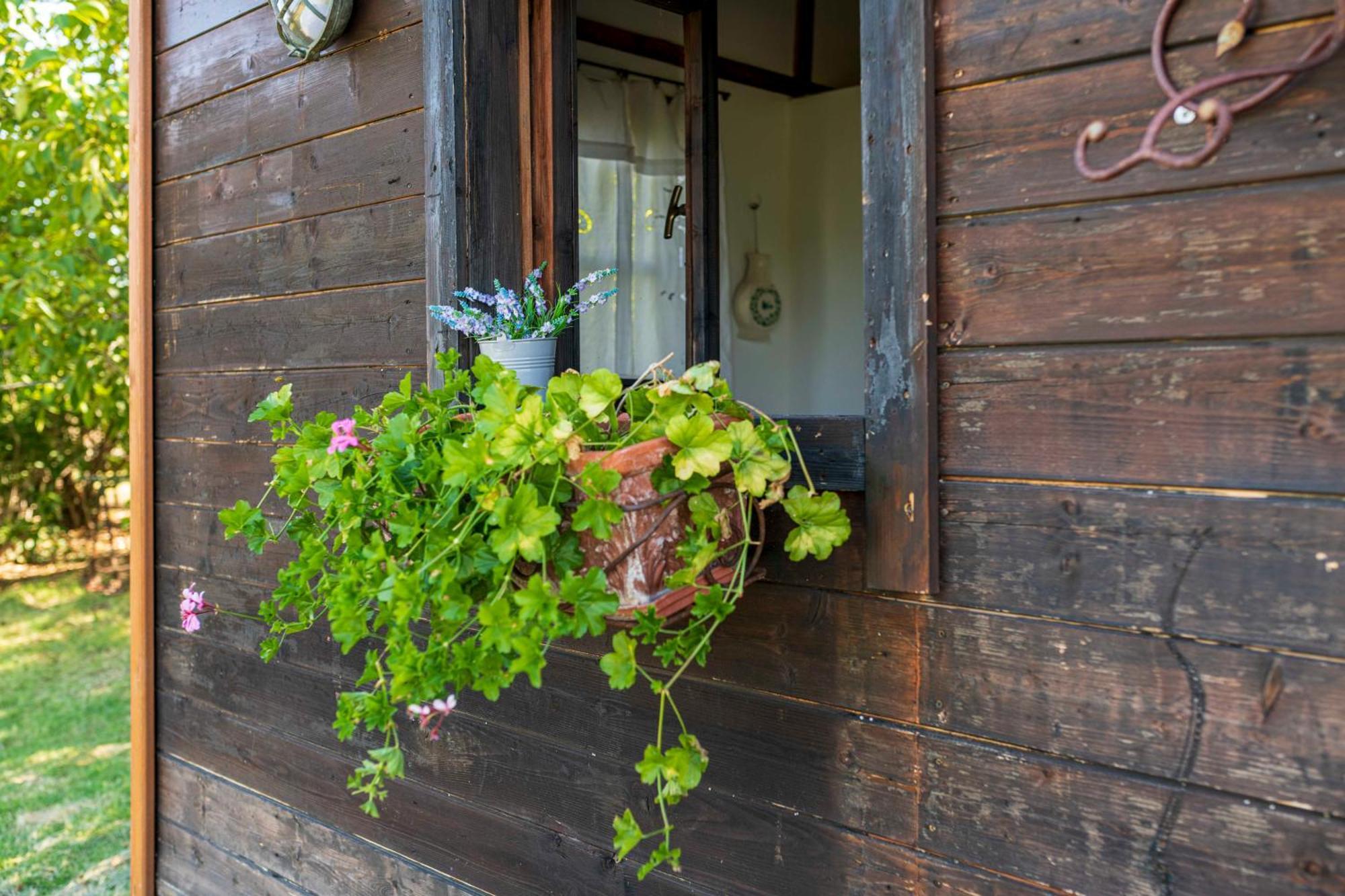 Le Bumbarelle Bed & Breakfast Tavoleto Exterior photo