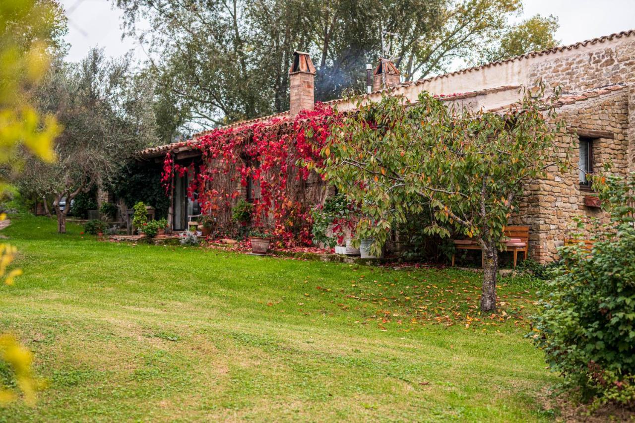 Le Bumbarelle Bed & Breakfast Tavoleto Exterior photo